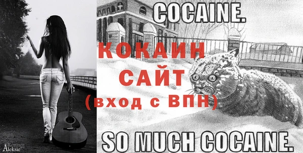 соль ск Магас