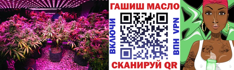 Дистиллят ТГК THC oil shop какой сайт Братск